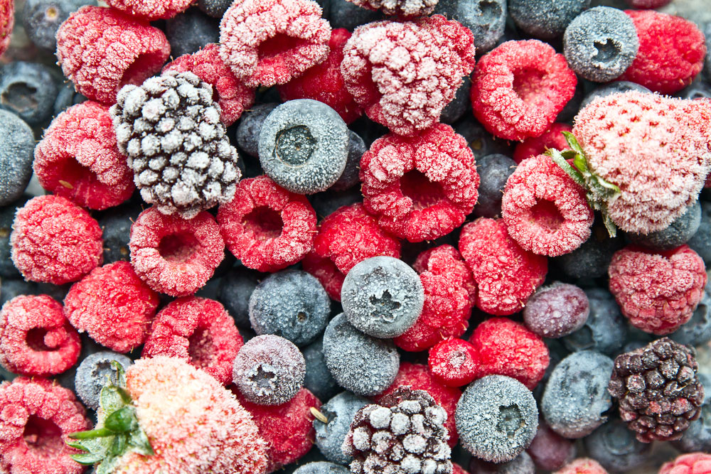 dondurulmus-gida-frozen-food-2